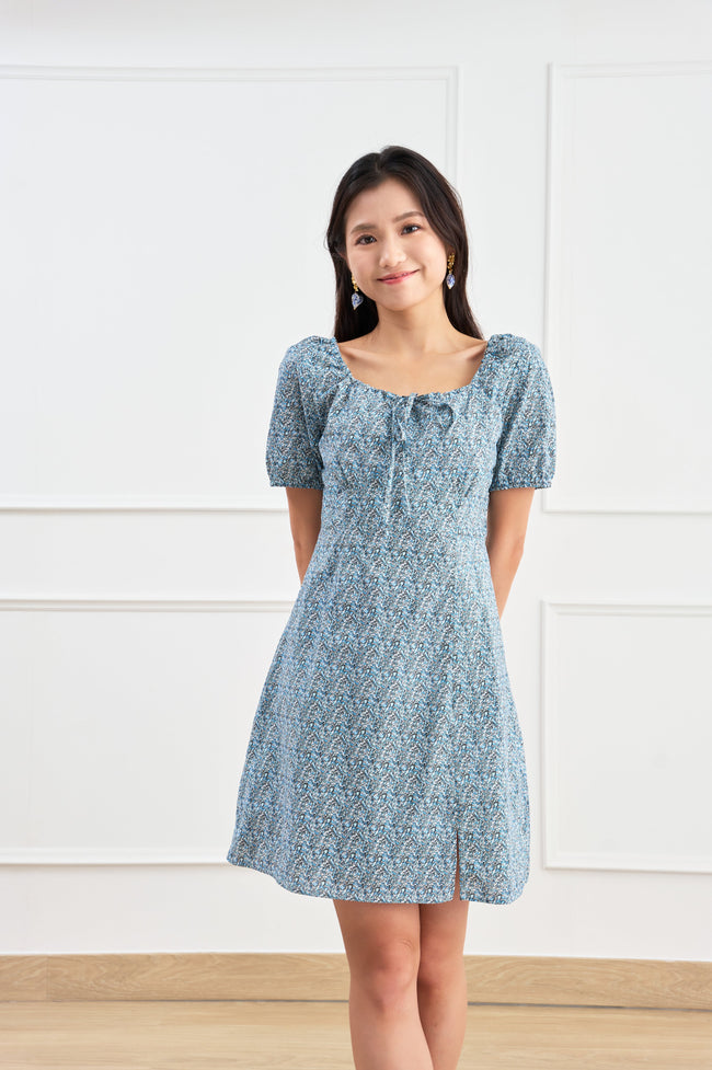 Chic Blue & White Floral Print Mini Dress