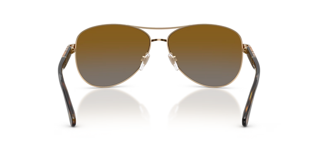 Classic Gold-Tone Sunglasses