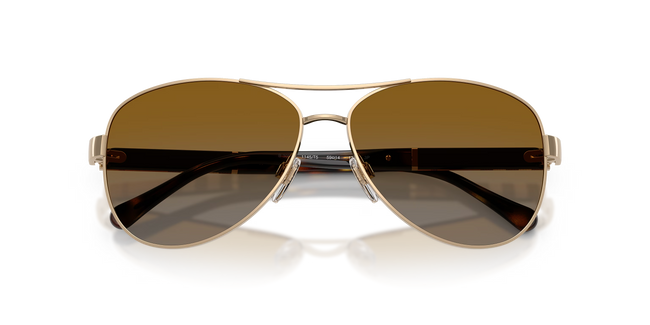 Classic Gold-Tone Sunglasses